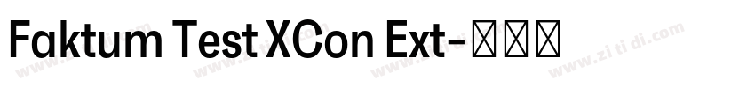 Faktum Test XCon Ext字体转换